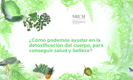 ¿Cómo podemos ayudar en la detoxificación del cuerpo para conseguir salud y belleza?